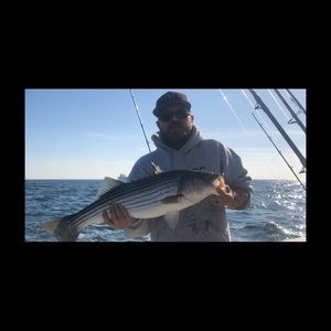 Meet your Posher, Eric